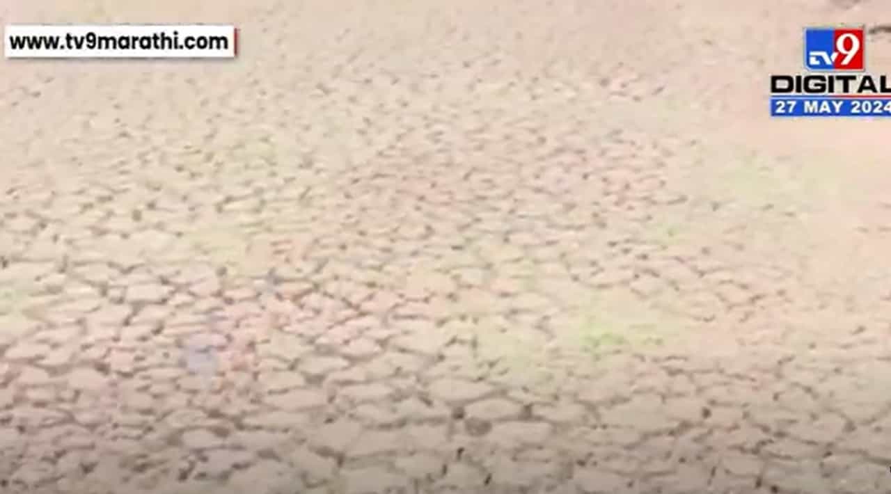 छत्रपती संभाजीनगरातील सुखना धरण सुखले, शंखशिंपलेही पाण्यावाचून तडफडून मेले