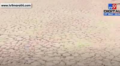 छत्रपती संभाजीनगरातील सुखना धरण सुखले, शंखशिंपलेही पाण्यावाचून तडफडून मेले