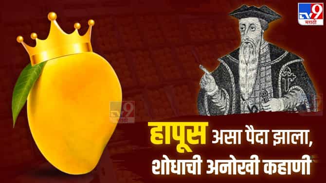 युरोपातील राजाला आंबा निर्यात करायचा कसा? या धडपडीतून हापूसचा असा शोध लागला