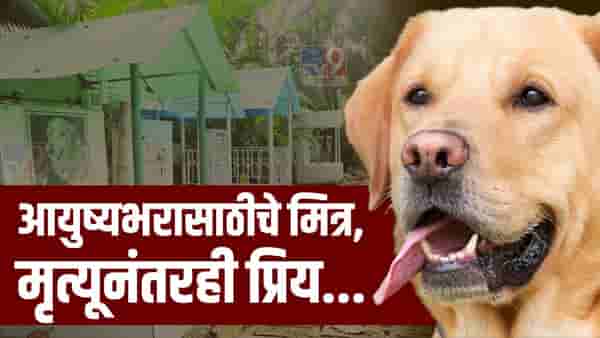 मुक्या जीवांना चिरशांती देण्यासाठी देखील प्रतिक्षा...महानगरातील नवी समस्या