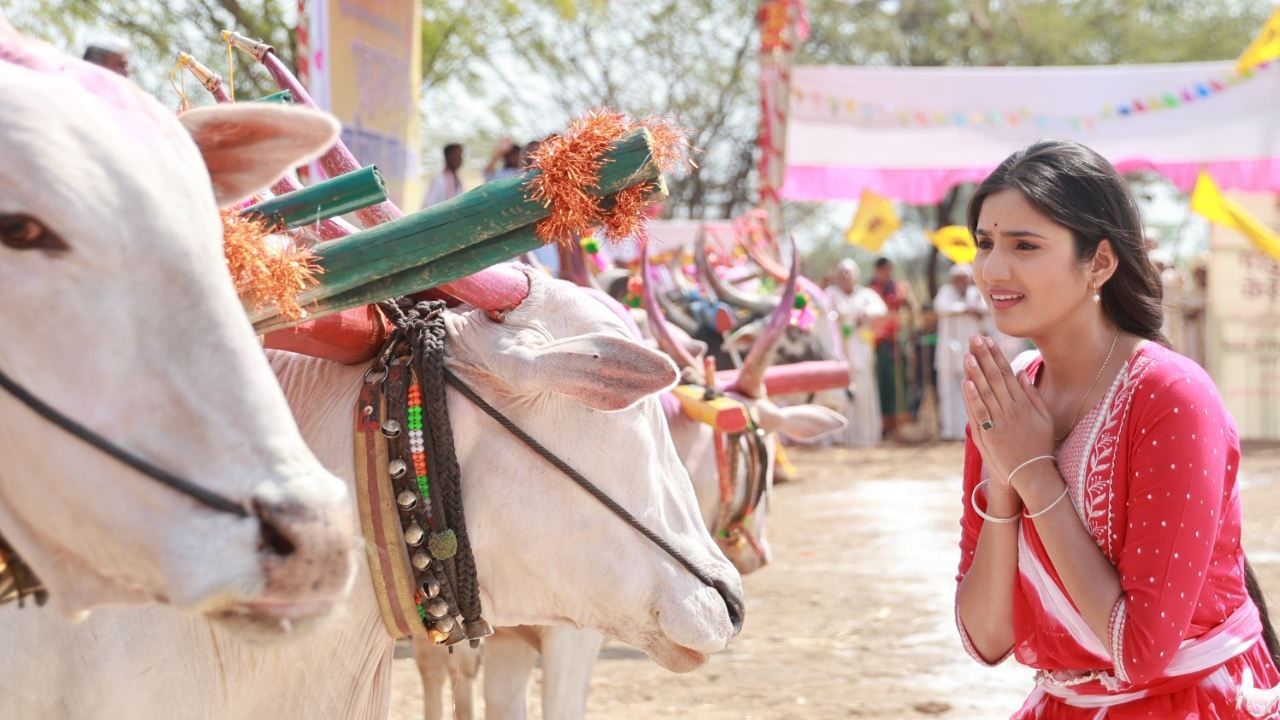 "बैलगाडा शर्यत शूट करायची असं ठरल्यापासून मनात खूप उत्सुकता होती. मी कधीच बैलगाडी चालवली नाही. त्यामुळे प्रत्यक्ष अनुभव घेण्याची खूपच उत्सुकता होती. पंढरपुरात आम्ही ही बैलगाडा शर्यत शूट केली. जवळपास चार ते सहा दिवस या खास भागाचं शूट सुरू होतं," असं तिने सांगितलं. 
