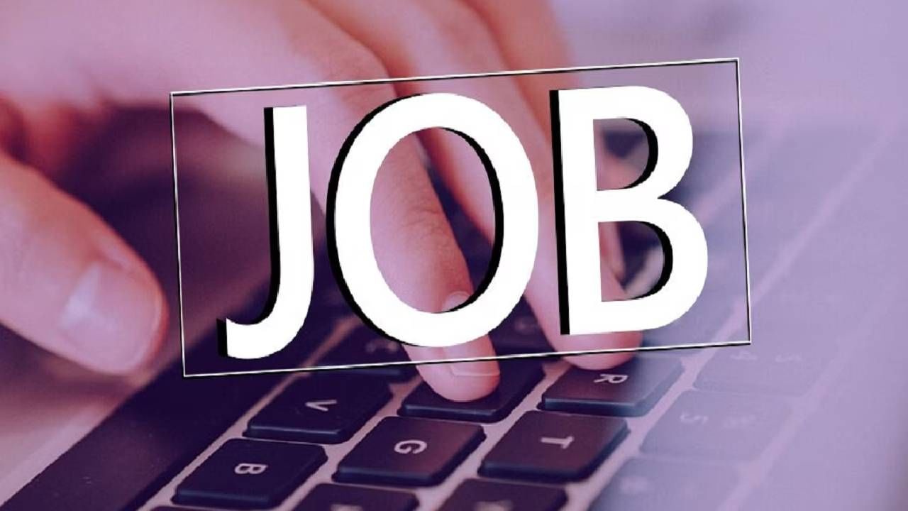 नोकरीच्या शोधात असणाऱ्यांसाठी मोठी संधी आहे. भरती प्रक्रियेला सुरूवात झालीये. जी अॅन्ड के बँकेत नोकरी करण्याची संधी आहे. ही भरती प्रक्रिया 276 शिकाऊ उमेदवारांसाठी पार पडत आहे. 