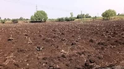 भयानक ! 22 वर्षांच्या तरूणीला जमीनीत गाडण्याचा प्रयत्न, कुठे घडला हा प्रकार ?