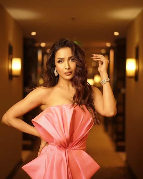 अभिनेत्री मलायका अरोरा (Malaika Arora) कायम तिच्या हॉट आणि बोल्ड अंदाजामुळे चर्चेत असते. वयाच्या 50 व्या वर्षी देखील मलायका प्रचंड ग्लॅमरस दिसते.