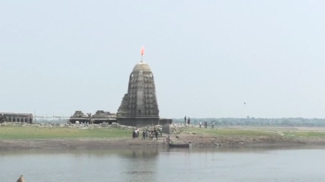 पळसनाथांच्या मंदिर किती जुने आहे, त्याची माहिती नसली तरी ज्ञानेश्वरीच्या १८व्या अध्यायात "पलाशतीर्थ" म्हणून आढळून येते. या हेमाडपंथी पळसनाथाचे मंदिराचे संपूर्ण कोरीव काम दगडात केले आहे. शिखर साप्तभूमी पद्धतीची बांधले आहे.