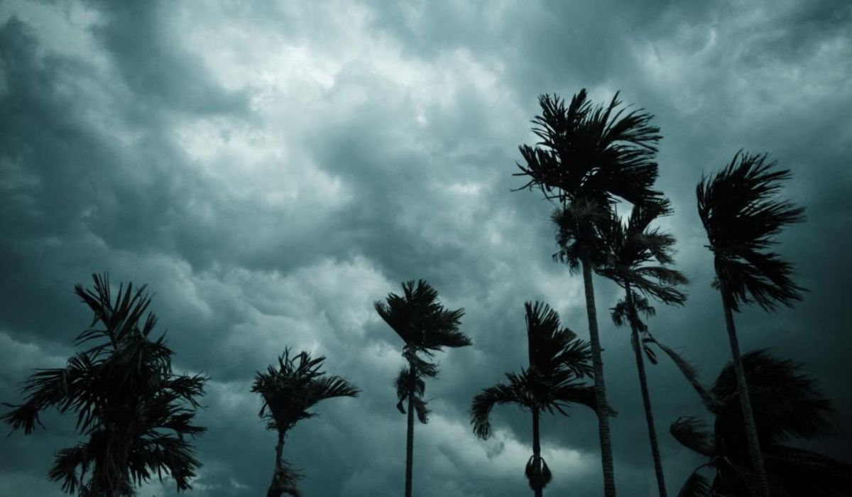 Rain Update : आला रे आला Monsoon महाराष्ट्रात आला, हवामान विभागाने काय दिलं मोठं अपडेट?