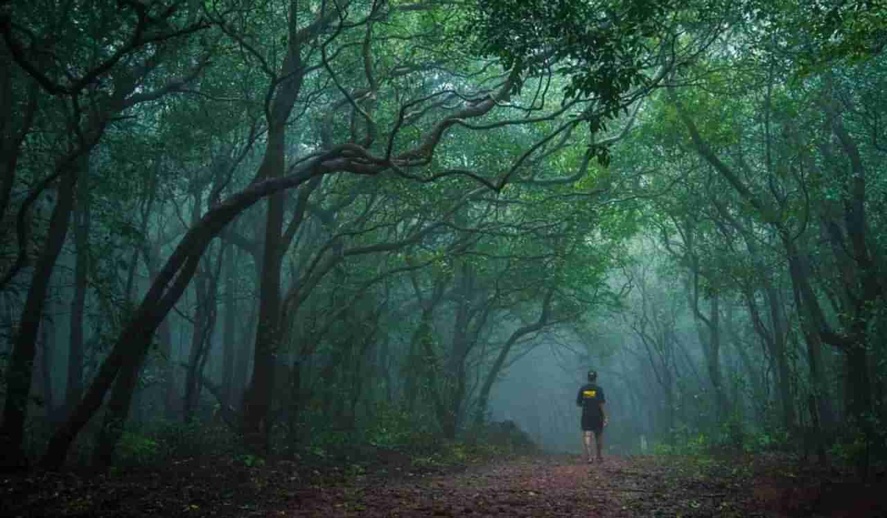 स्वर्गात आल्याचा अनुभव, मुंबई-पुण्यापासून अगदी जवळ आहे हे हिल स्टेशन