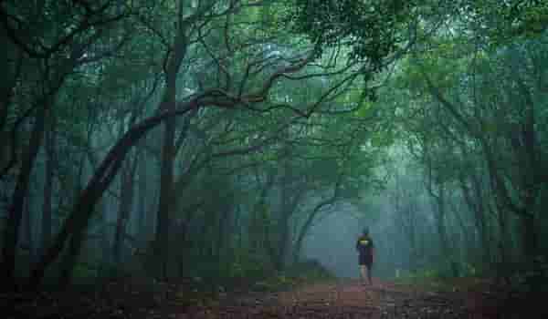 स्वर्गात आल्याचा अनुभव, मुंबई-पुण्यापासून अगदी जवळ आहे हे हिल स्टेशन