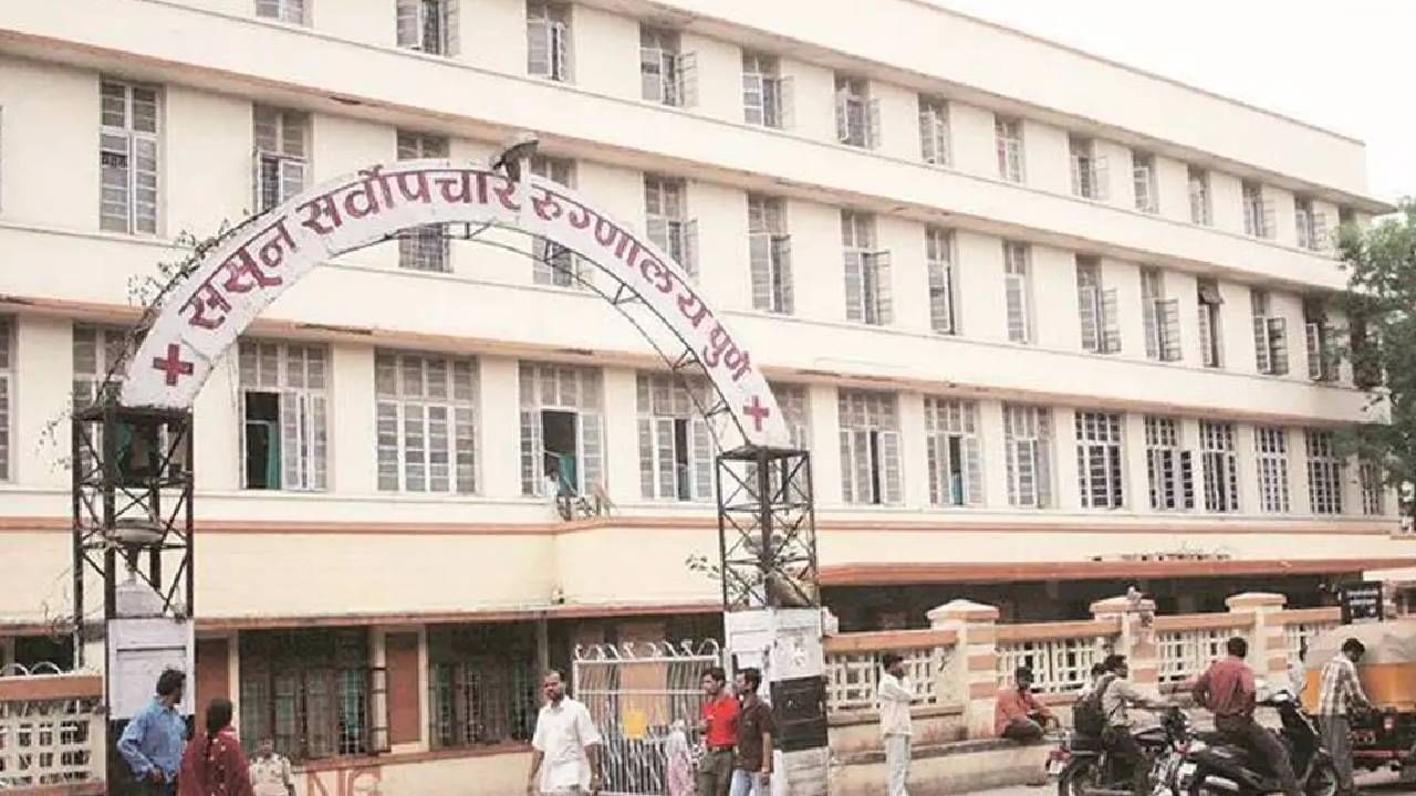 पुणे ससूनमध्ये डॉक्टराकडून धक्कादायक प्रकार, पहाटेच्या अंधारात डॉक्टर करायचा असे काही... पुणे ससूनमध्ये डॉक्टराकडून धक्कादायक प्रकार, पहाटेच्या अंधारात डॉक्टर करायचा असे काही...
