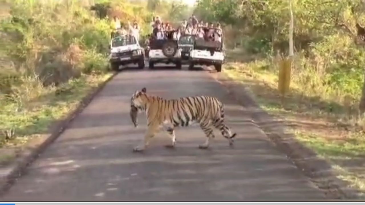 खडसंगी वन परिक्षेत्रमध्ये सर्वाधिक ५११ वन्य प्राण्यांच्या नोंदी घेतल्या गेल्या. त्यानंतर मोहुरली ४८१, मुल ३४१, शिवणी २१६, पळसगाव १२२, चंद्रपूर १४६ वन्य प्राणी नोंद घेण्यात आली.