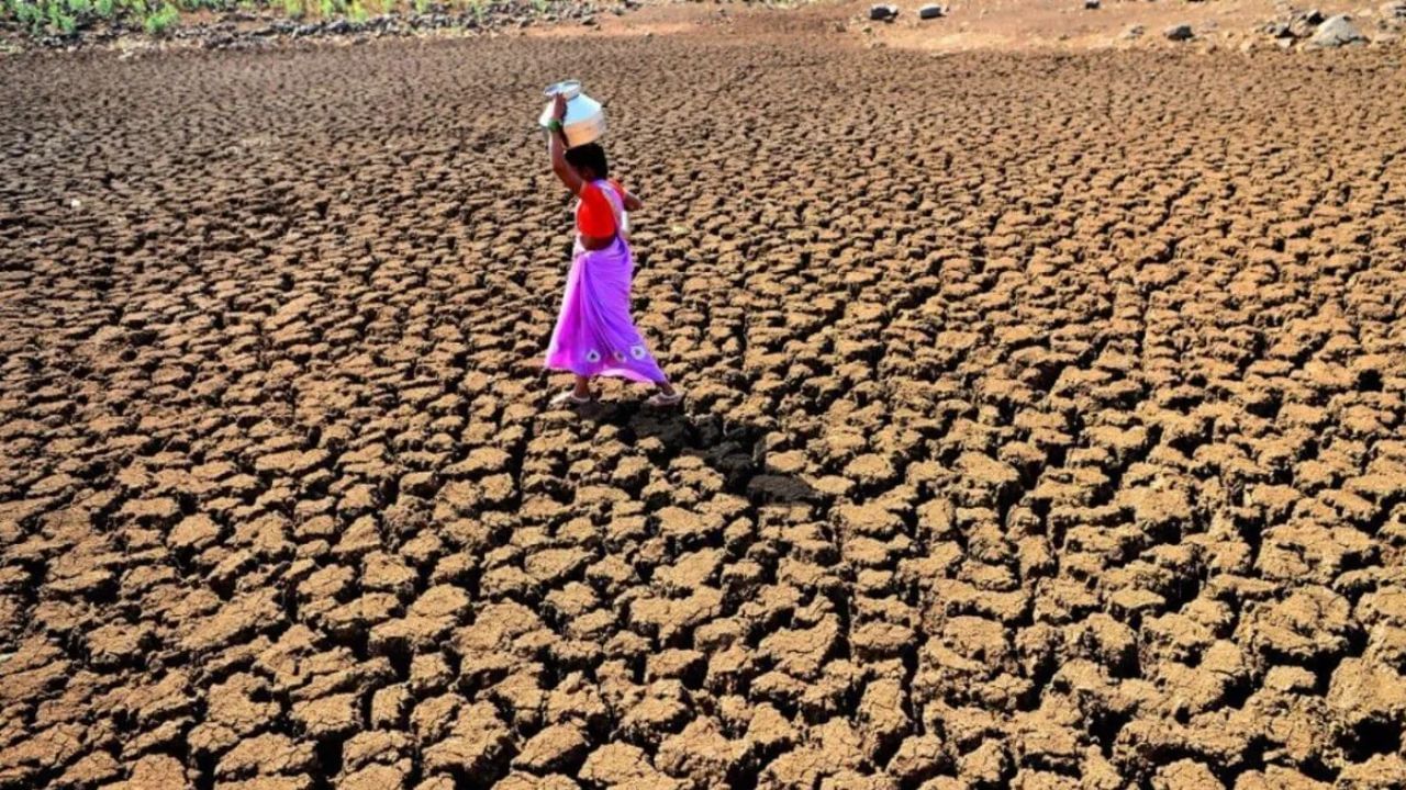 उन्हाळाच्या तीव्र झळा, अहमदनगर जिल्ह्यात नागरिकांची पाण्यासाठी लाहीलाही, भीषण वास्तव उन्हाळाच्या तीव्र झळा, अहमदनगर जिल्ह्यात नागरिकांची पाण्यासाठी लाहीलाही, भीषण वास्तव