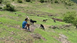 वडापाव विकून घर चालवलं, मोठी स्टार बनली, आता एका दिवसाच्या कमाईचा आकडा ऐकून हैराण व्हाल