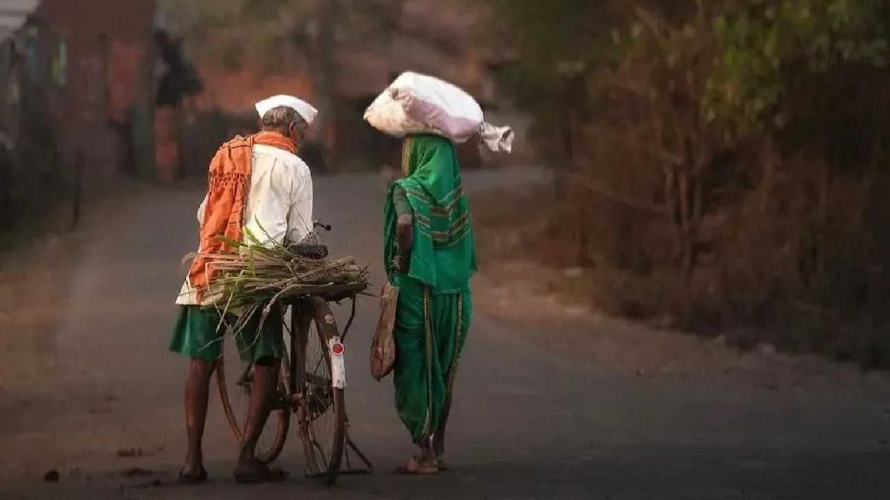 गावची ओढ कमी होत नाही. असेच काही गावचं गावपण दाखवणारे फोटो... महाराष्ट्राच्या पर्यटन विभागाकडून काही फोटो सोशल मीडियावर शेअर करण्यात आले आहेत. कोल्हापुरातील चांदोली गावचे काही फोटो... 