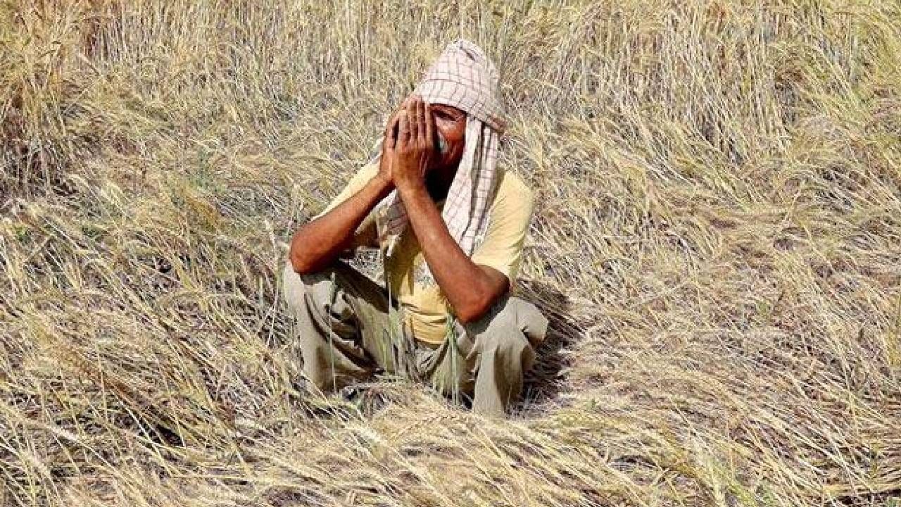 Farmer : राज्यावरील शेतकरी आत्महत्येचा कलंक काही पुसेना; आकडेवारीने वाढवली चिंता, या विभागात परिस्थिती बिकट Farmer : राज्यावरील शेतकरी आत्महत्येचा कलंक काही पुसेना; आकडेवारीने वाढवली चिंता, या विभागात परिस्थिती बिकट
