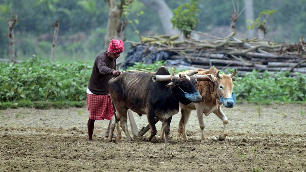 पीएम किसान सन्मान निधी योजनेचा 17 वा हप्ता कधी जमा होणार?