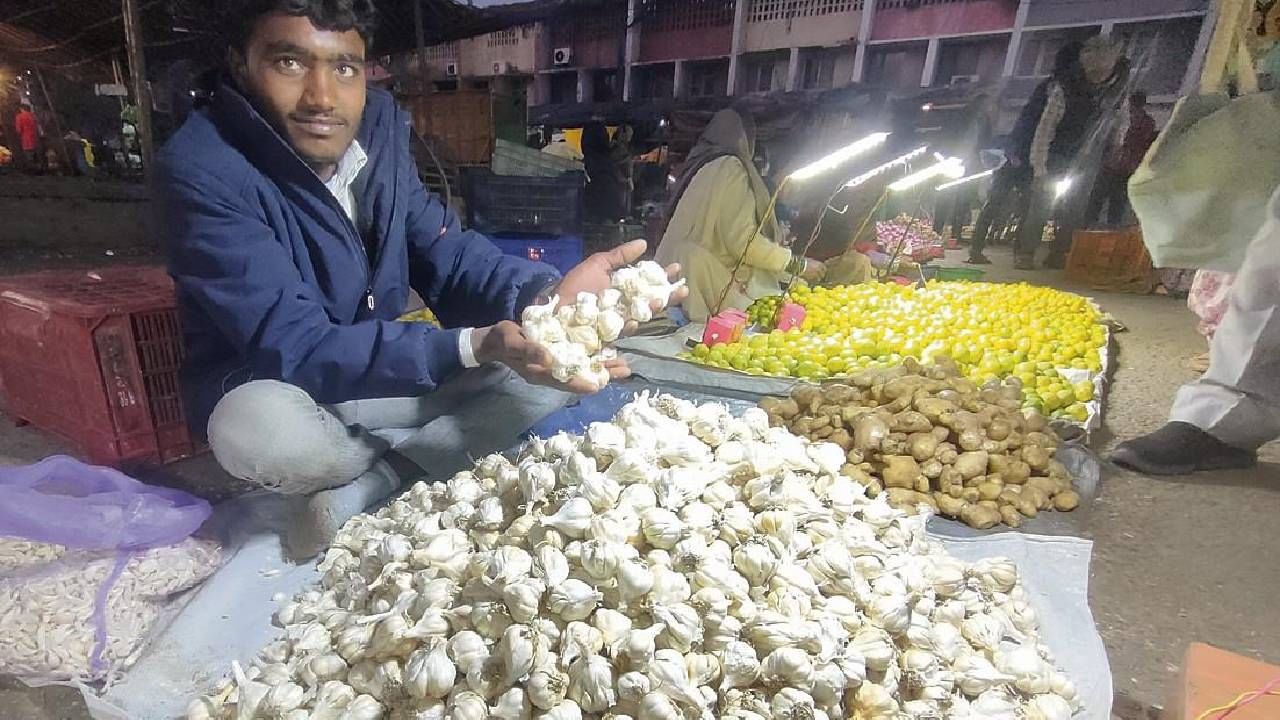 महागाईला लसणाची फोडणी, गेल्यावर्षीपेक्षा भाव आता दुप्पट, ग्राहकांच्या खिशाला बसणार झळ