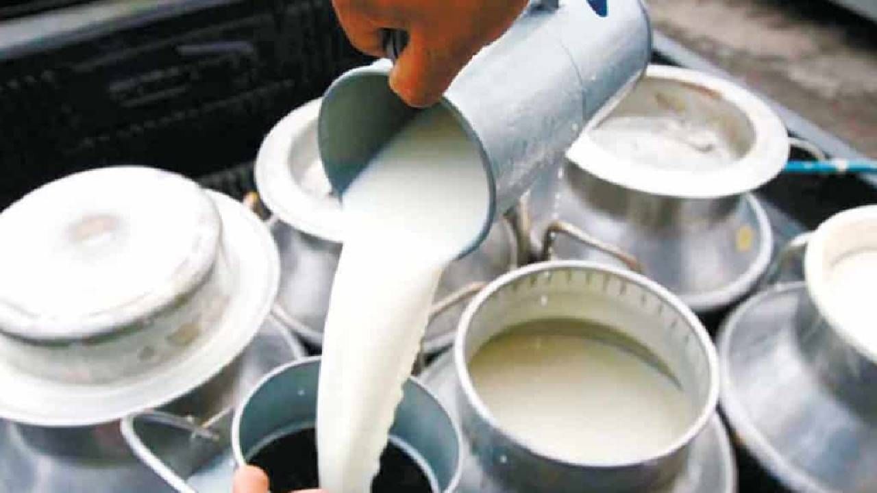 Milk Rate Hike : दूध दर वाढीसाठी शेतकरी आक्रमक; पावसाळी अधिवेशन सुरु असताना राज्यात ठिकठिकाणी आंदोलन