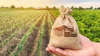 Budget 2024 : मोदी सरकार होणार शेतकऱ्यांवर मेहेरबान; अर्थसंकल्पात कास्तकारांसाठी मोठे पाऊल टाकणार, काय बदल होणार