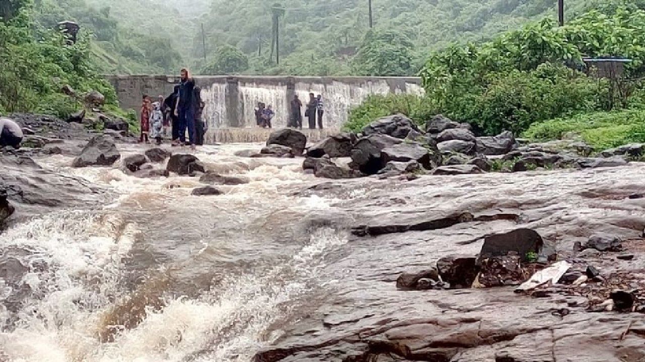 हिरवाईच्या परिसरात वसलेला आणि पावसाळ्यात जोमाने वाहणारा मुंब्रा धबधबा हा ठाण्यापासून फक्त 11 किलोमीटरवर आहे