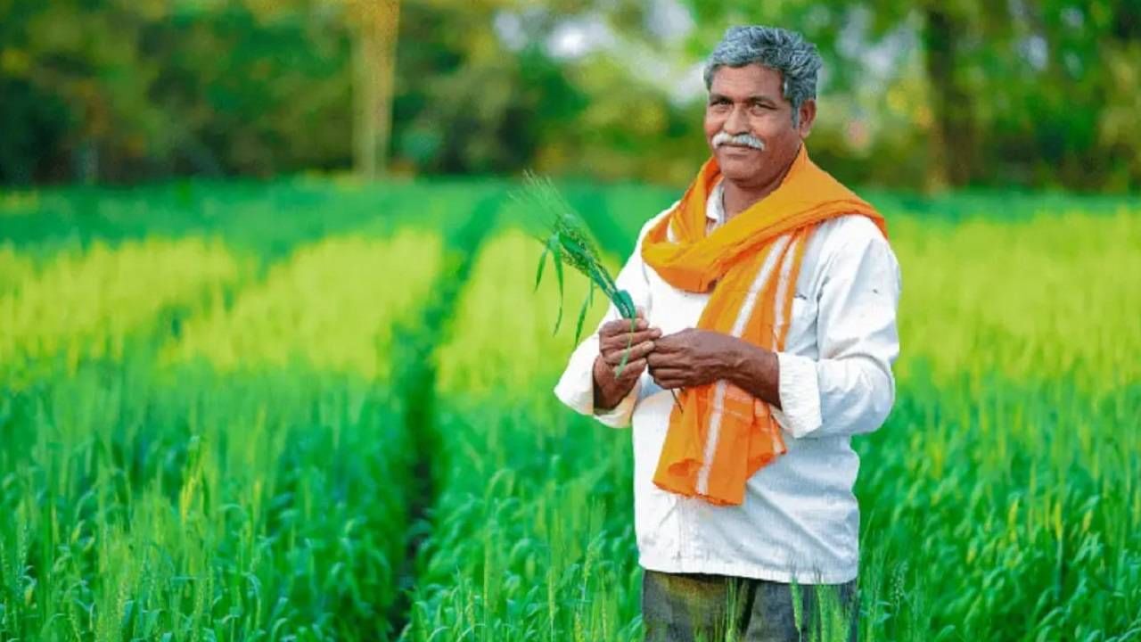 Pm Kisan चा 17 वा हप्ता या दिवशी खात्यात होणार जमा या शेतकऱ्यांना होणार फायदा Marathi News 7071