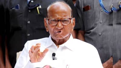 महाविकास आघाडीतील एकजुटीसाठी दोन पावले मागे आलो, पण आता...शरद पवार यांचा कार्यकर्त्यांना संदेश