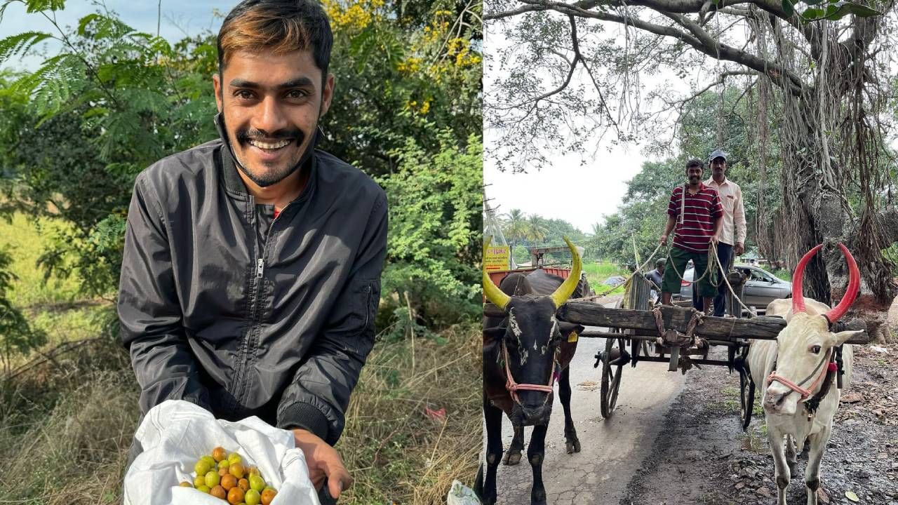  लहान असताना खेड्यात असाच शेळ्या घेवून वावरताना, मनात शहराची ओढ असते. पण जेव्हा गाव सोडत ना तेव्हा गावाकडच्या आठवणी मनाला भारावून टाकतात . मग मनाला वाटू लागतं, काय दिवस होते यार ..... खरंच, असं म्हणत एका नेटकऱ्याने कमेंट केली आहे.  