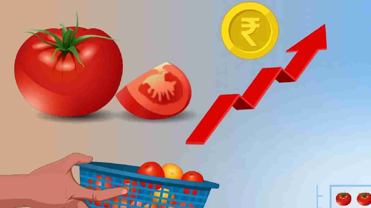 Tomato Prices : टोमॅटोने ठोकले शतक, पावसाळ्यात भाव गगनाला भिडणार? गेल्या वर्षी टोमॅटोने महागाईत ओतले होते तेल