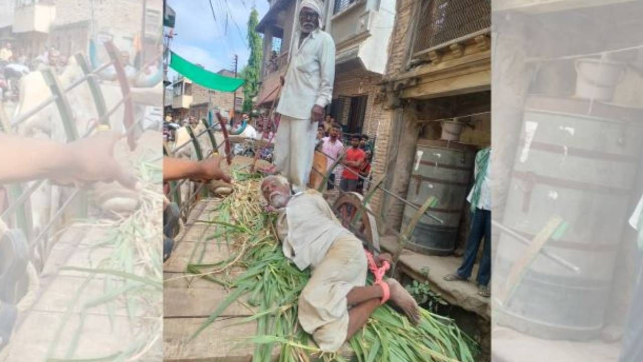 वांग्याचं झाड तोडणं पडलं महागात, वयोवृद्ध शेतकऱ्यासोबत घडला धक्कादायक प्रकार