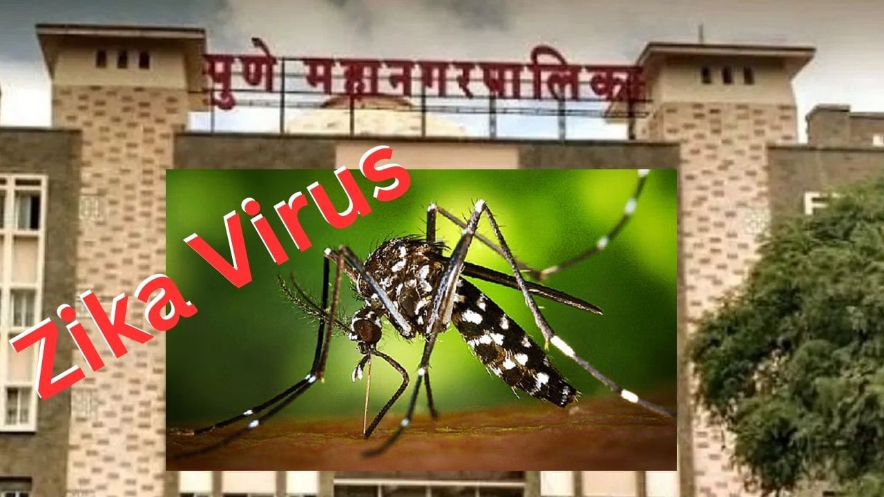 Zika Virus | झिका व्हायरसने महाराष्ट्रात वाढवला तणाव, पुण्यात आढळले दोन रुग्ण