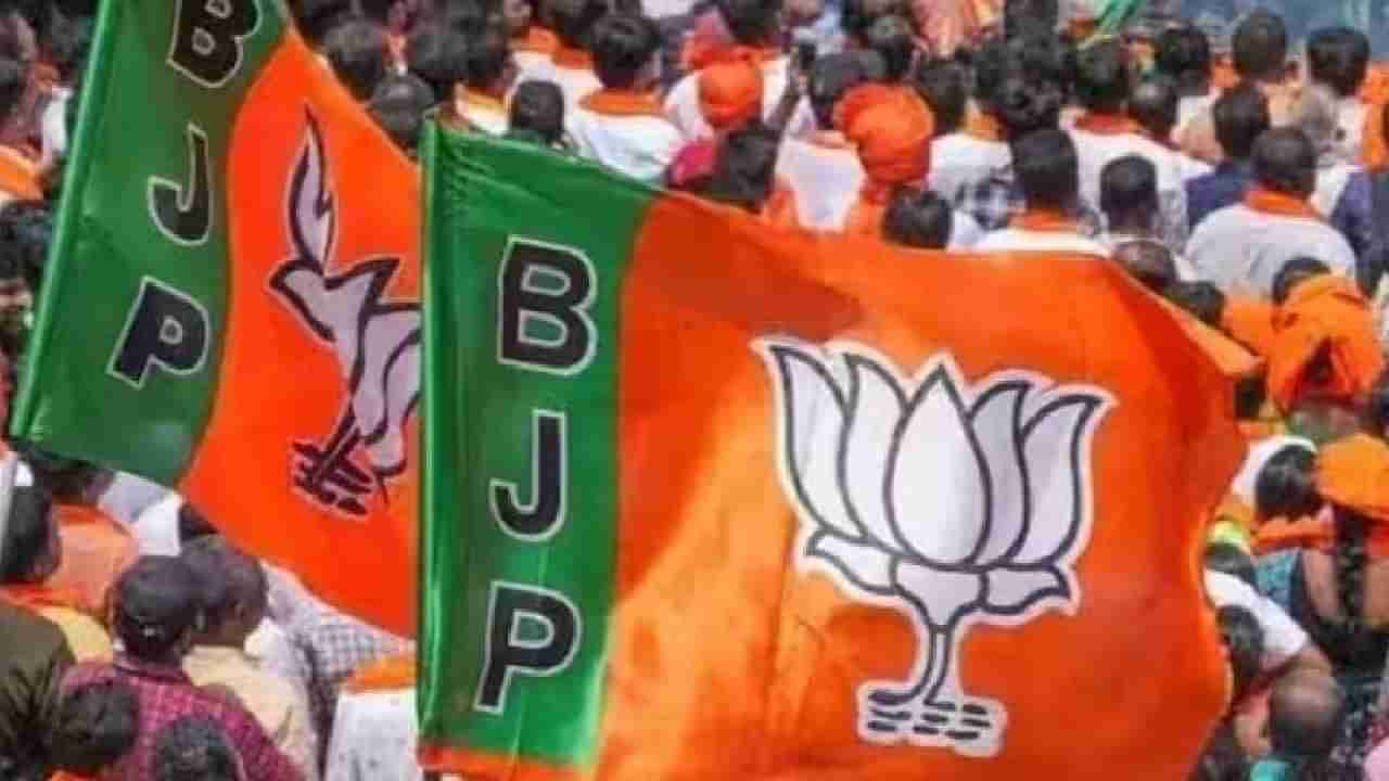 Bjp leader : या देशात राष्ट्रवादी मुस्लिम हा...., मुस्लिमांसंदर्भात भाजपा नेत्याच वादग्रस्त वक्तव्य