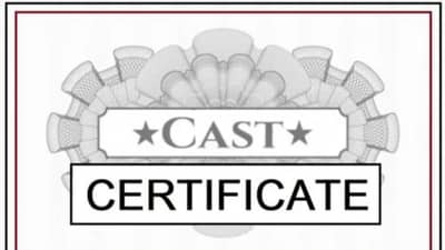 धक्कादायक! नंदुरबार जिल्ह्यात बोगस कागदपत्रांचा सुळसुळाट, 500 रुपयात मिळतंय बोगस जातीचं प्रमाणपत्र