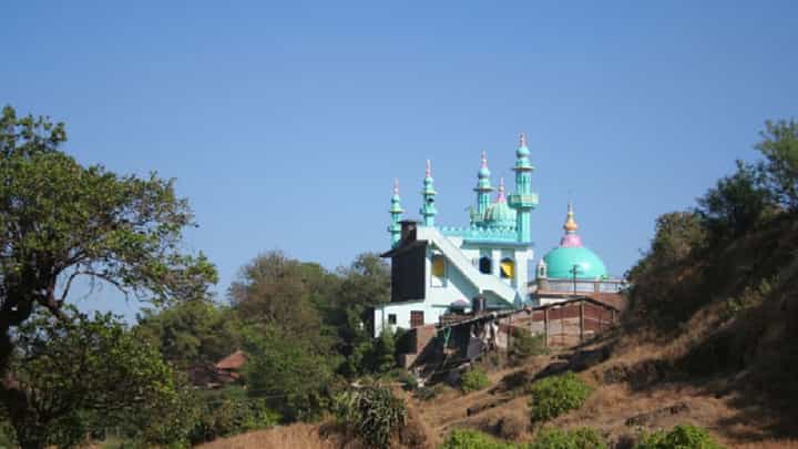 विशाळगडावरील दर्ग्यात बकरी ईदला प्राण्यांच्या कत्तलीला मुंबई हायकोर्टाकडून परवानगी विशाळगडावरील दर्ग्यात बकरी ईदला प्राण्यांच्या कत्तलीला मुंबई हायकोर्टाकडून परवानगी