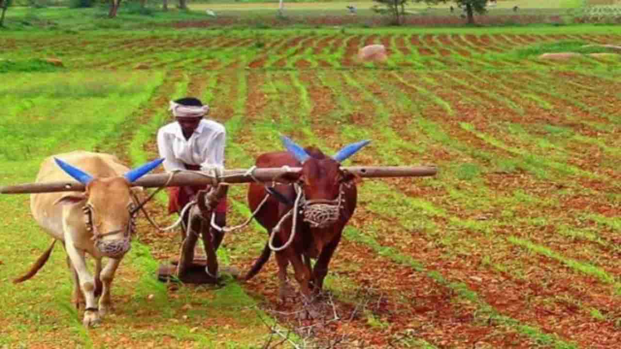 बळीराजाला दिलासा! देशभरातील शेतकऱ्यांसाठी मोदी सरकारचा सर्वात मोठा निर्णय