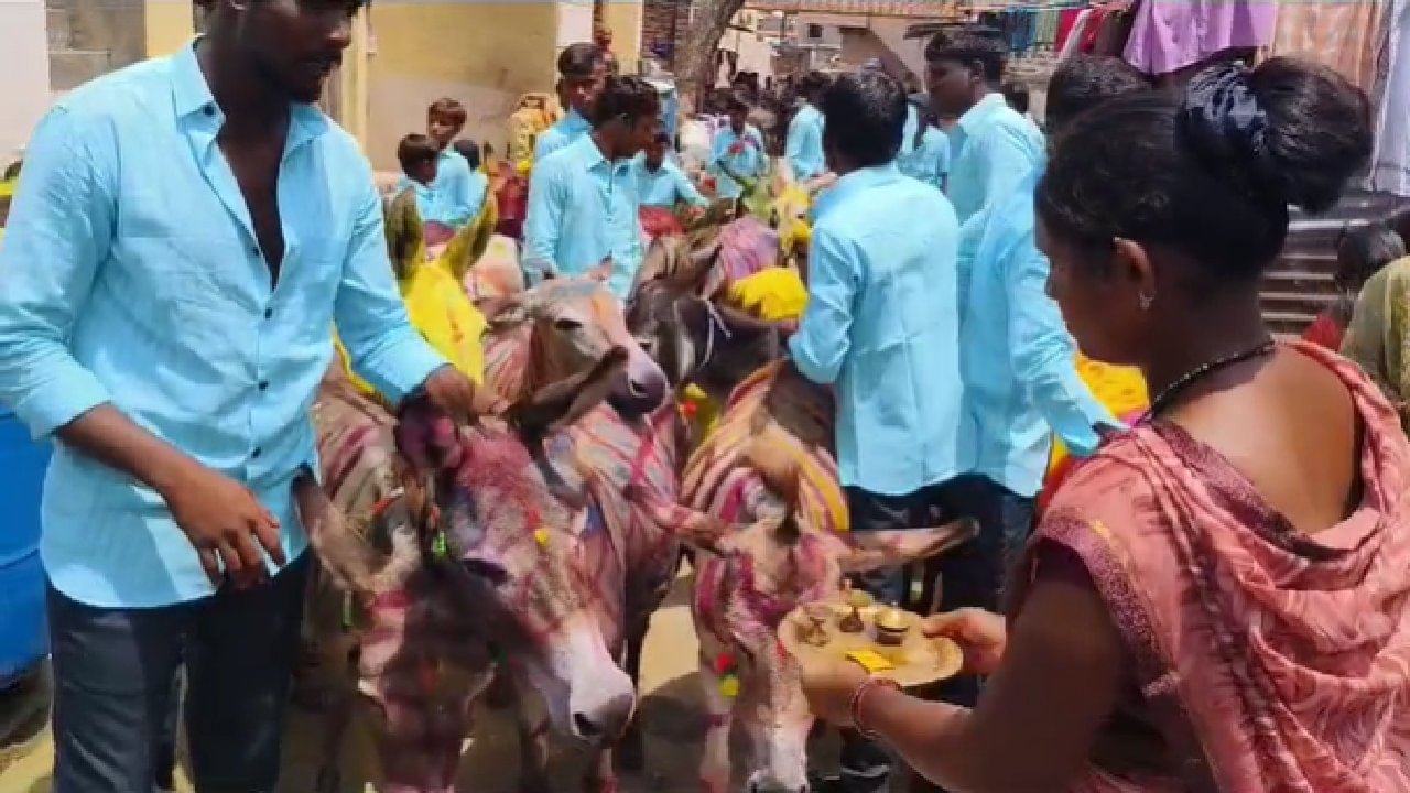 सोलापूरच्या कर्नाटक-महाराष्ट्र सीमावर्ती भागात बैल पोळ्याप्रमाणे कारहुणनी सण साजरा केला जातो.