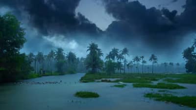 पहिल्याच पावसात कोकणातला निसर्ग बहरला, पाहा व्हिडीओ