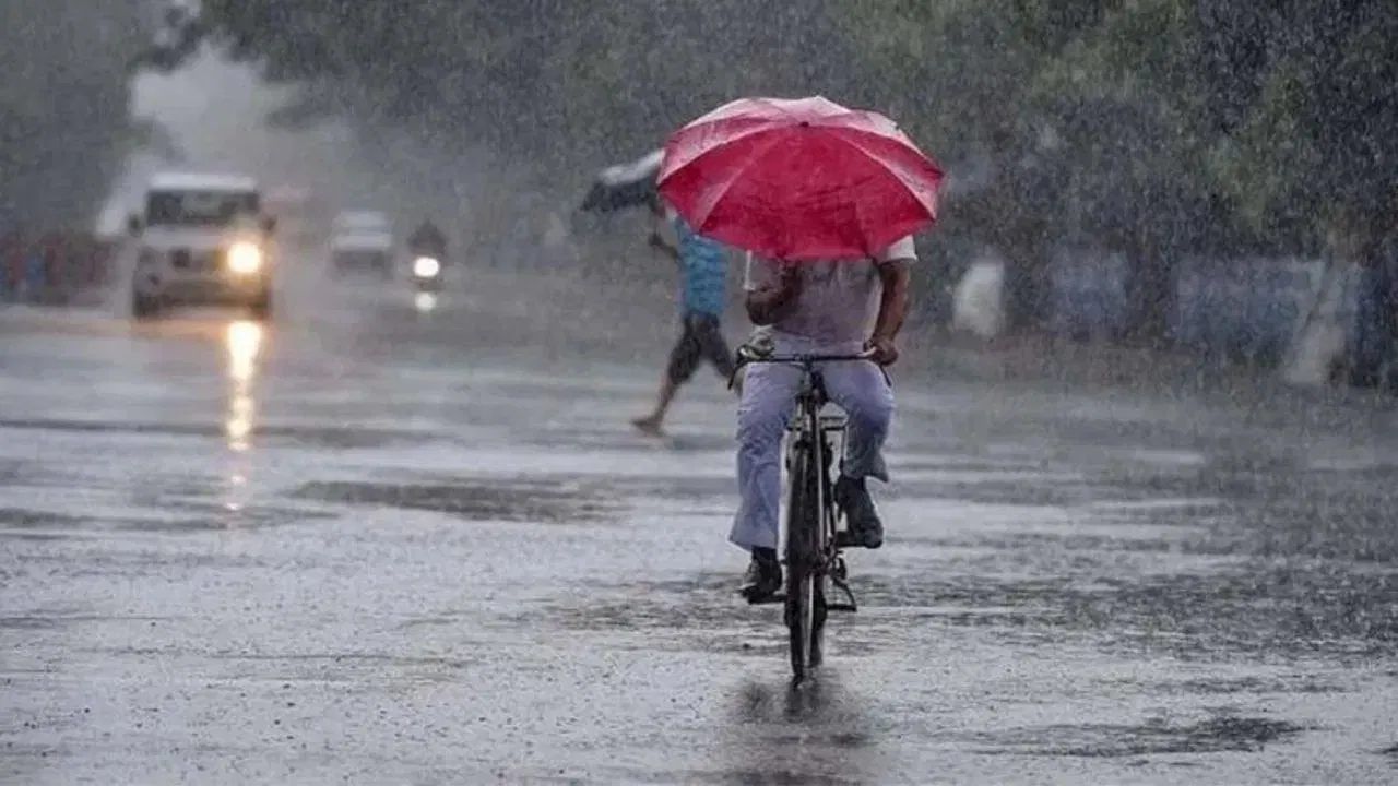 Nashik Weather Update : नाशिककरांनो... जरा जपून, धो-धो बरसणार; हवामान खात्यानं दिला अलर्ट आणि सतर्कतेचा इशारा