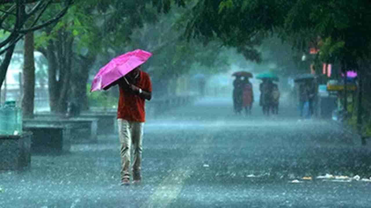 Maharashtra Rain Alert : पुढील चार दिवस वादळी पाऊस, कोणत्या भागात मुसळधार पावसानं उडणार नागरिकांची दाणादाण?