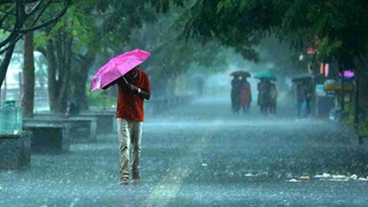 Maharashtra Weather Weather : राज्यातील 'या' 14 जिल्ह्यांना IMD चा अलर्ट? तुमच्या जिल्ह्यात कसा होणार पाऊस?