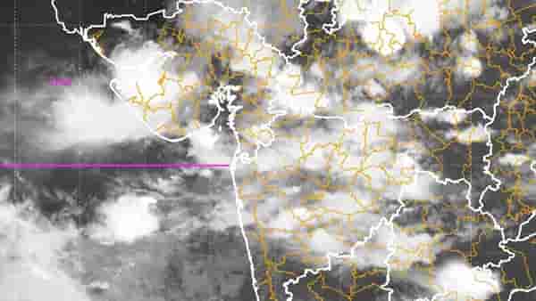 Maharashtra Weather Update : मोठी बातमी… राज्यात पावसाचा जोर कायम, काय म्हणतंय हवामान खातं?