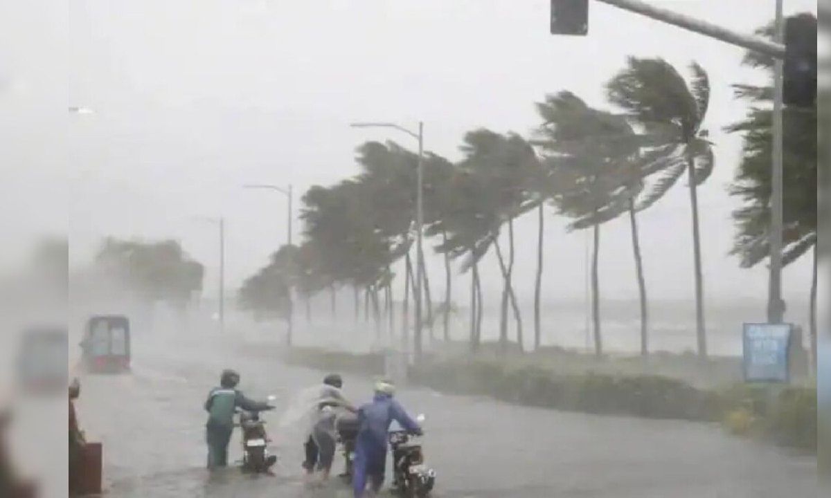 Maharashtra Weather Update : कोकण किनारपट्टीला तुफान पावसाचा तडाखा, राज्यातील 'या' 5 जिल्ह्यांना IMD चा अलर्ट