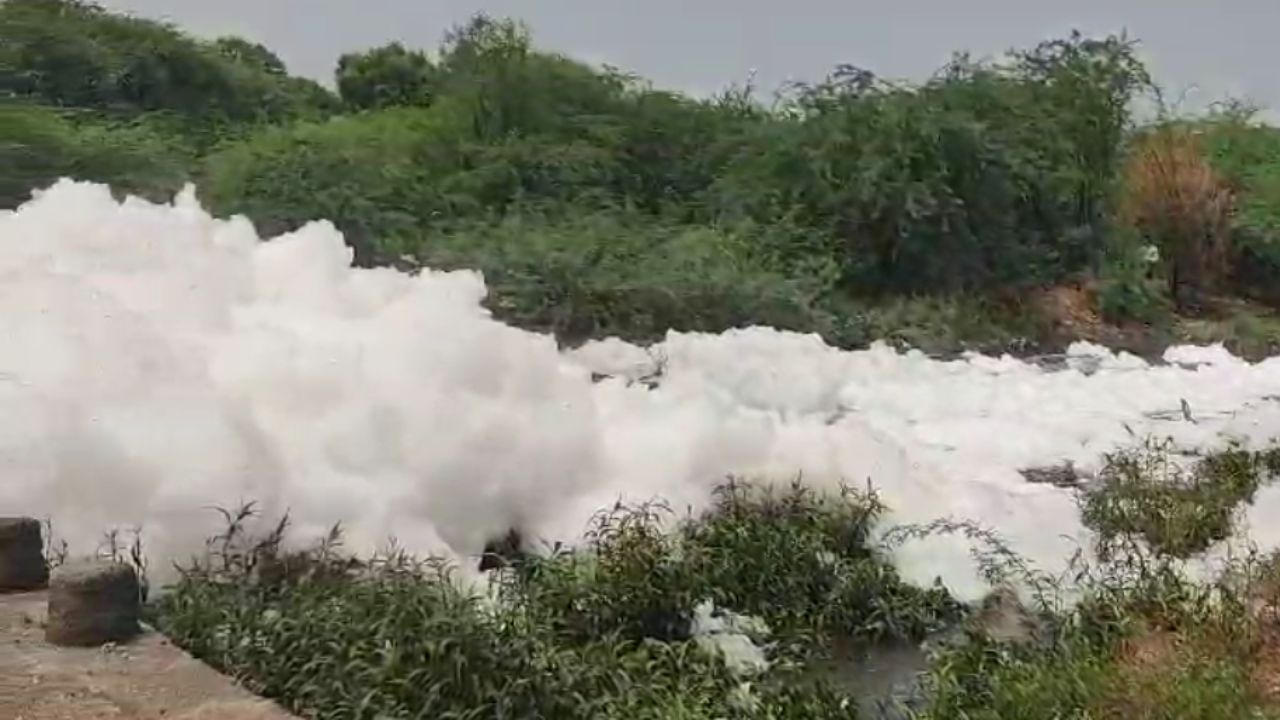 शासनाच्या धोरणामुळे पर्यावरणप्रेमींमध्ये नाराजी आहे. शासनाचे नियम पायदळी तुडवले जात असताना काहीच कारवाई होत नाही, यामुळे कंपन्यांना धाक उरलला नाही. 