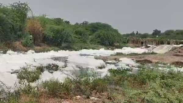जळगाव जिल्ह्यातील चाळीसगाव तालुक्यातून डोंगरी व तितूर नद्या वाहतात. परंतु पर्यावरणास धोका निर्माण करण्याचे काम या नदी परिसरात सुरु आहे. यामुळे केमिकल युक्त पाण्याने नदी फेसाळली गेली आहे.