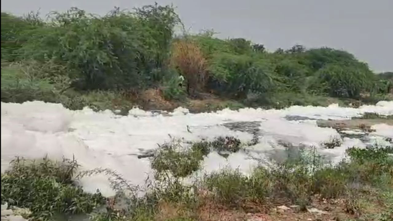 चाळीसगाव शहरातील डोंगरी व तितूर नदीपात्राला प्रदूषणाचा मोठा विळखा बसला आहे. तितूर नदीपात्रातील दूषित पाण्यामुळे फेस तयार होत आहे. नदीपात्रात फेस तयार होऊन फेसचे ढिगार रस्त्यावर येऊ लागले आहे. 