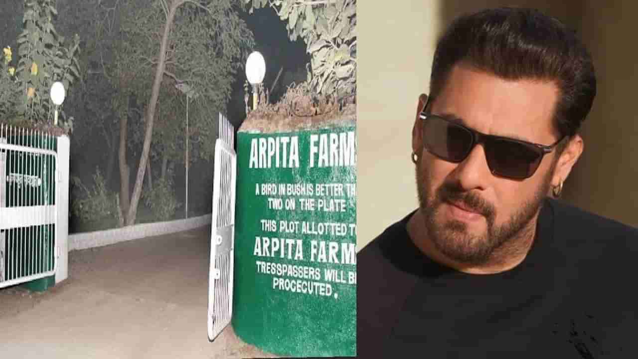 Salman Khan : सलमानच्या फार्महाऊसवरून 24 वर्षांची तरूणी पोलिसांच्या  ताब्यात, कारण ऐकाल तर.. - Marathi News | 24 year girl arrested outside  salman khans panvel farmhouse she wanted to marry ...