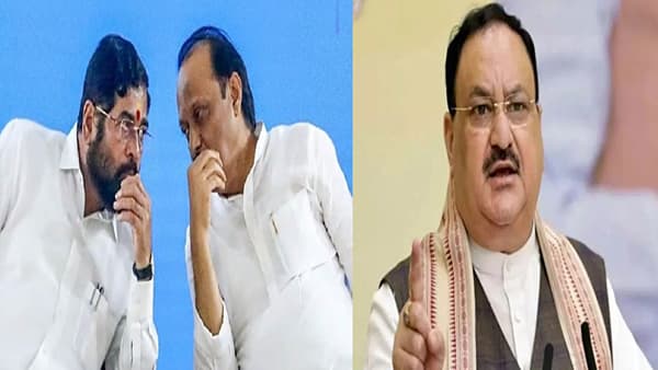 अजित पवार आणि शिंदे गटाचे केंद्रात खाते उघडणार; एनडीए नेत्यांच्या बैठकीत अजून काय काय ठरलं ?