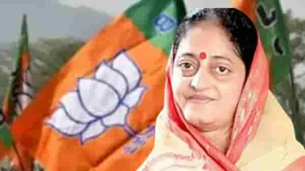 jalgaon lok sabha smita wagh: अभाविपतून-संसदेपर्यंत... स्मिता वाघ यांचा राजकीय आलेख वाघाच्या झेपेसारखा