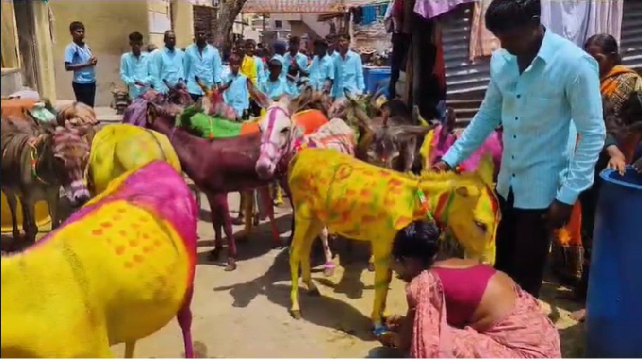 गाय-बैल यांच्याबद्दल वर्षभर करत असणाऱ्या कामाची कृतज्ञता व्यक्त करण्यासाठी हा सण साजरा केला जातो