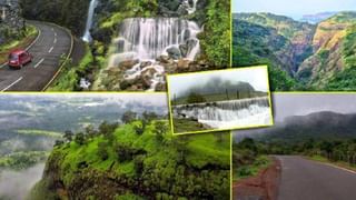 Maharashtra Rain Forecast : राज्यभरात संततधार सुरूच, कोणत्या जिल्ह्यात कसा होणार पाऊस, IMD चा अलर्ट काय?