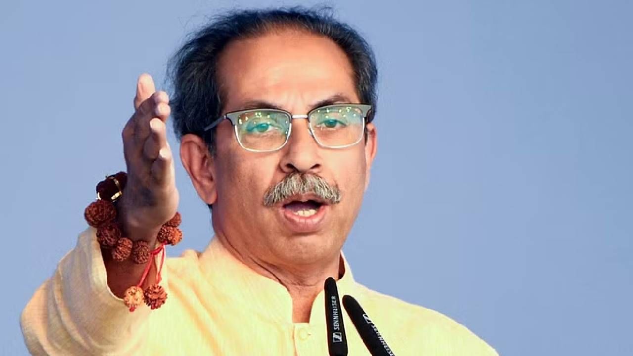 उद्धव ठाकरेंची निवडणुकीत सर्वाधिक मेहनत… भाजपच्या बड्या मंत्र्याकडून पहिल्यांदाच कौतुक; भुवया उंचावल्या