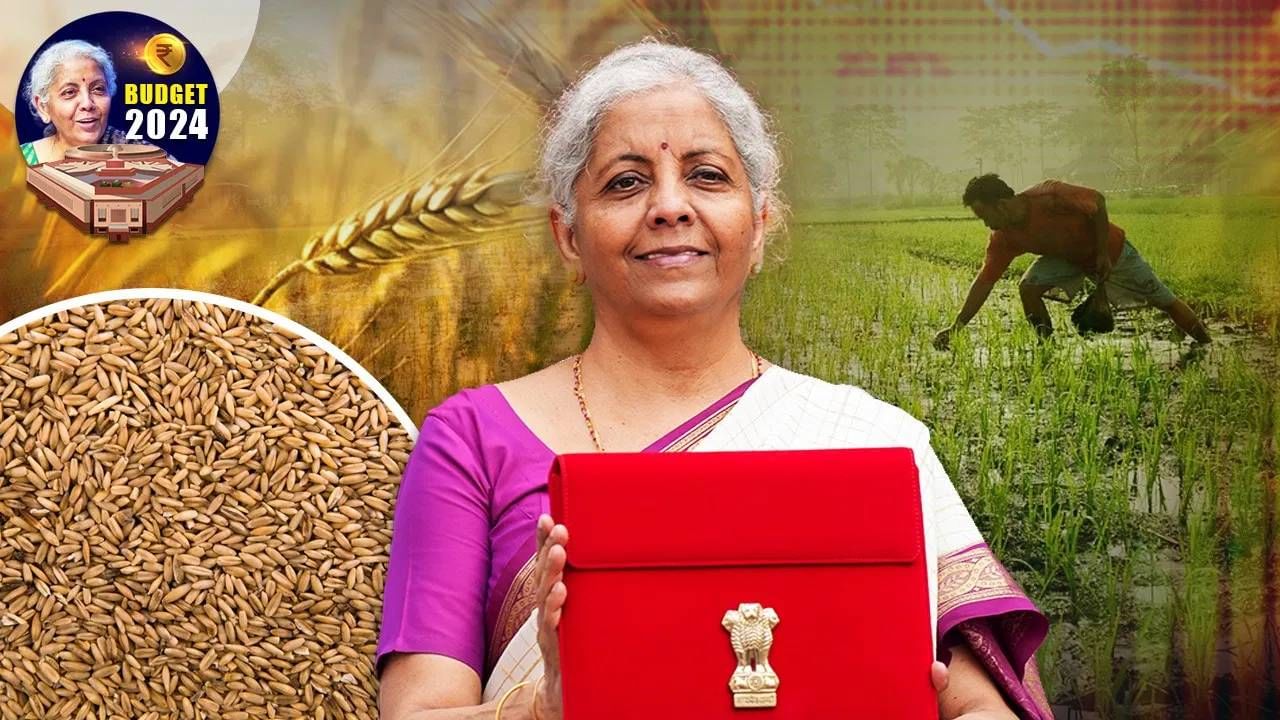 Agriculture Budget 2024 : शेतकऱ्यांच उत्पन्न कसं वाढणार? काय तरतुदी? समजून घ्या